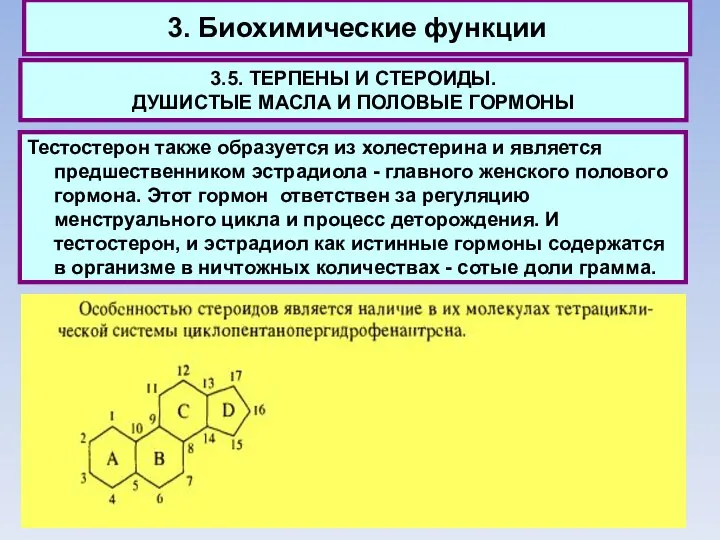 3. Биохимические функции 3.5. ТЕРПЕНЫ И СТЕРОИДЫ. ДУШИСТЫЕ МАСЛА И ПОЛОВЫЕ