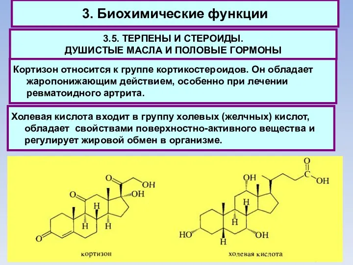 3. Биохимические функции 3.5. ТЕРПЕНЫ И СТЕРОИДЫ. ДУШИСТЫЕ МАСЛА И ПОЛОВЫЕ