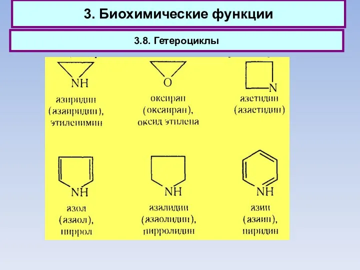 3. Биохимические функции 3.8. Гетероциклы