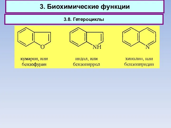 3. Биохимические функции 3.8. Гетероциклы