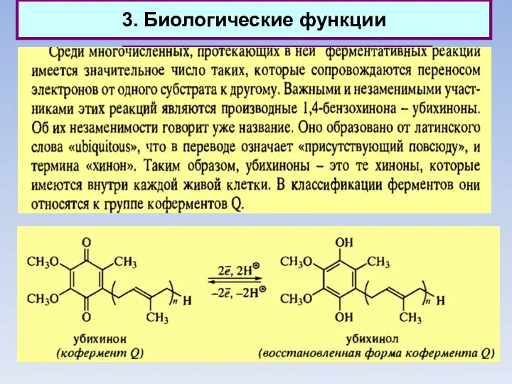 3. Биологические функции Природные хиноны (убихиноны)