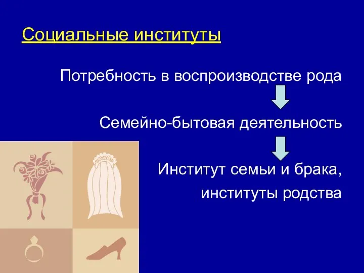 Социальные институты Потребность в воспроизводстве рода Семейно-бытовая деятельность Институт семьи и брака, институты родства