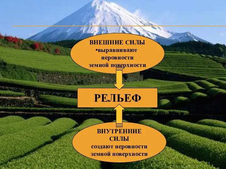 Формирование рельефа ВНЕШНИЕ СИЛЫ выравнивают неровности земной поверхности ВНУТРЕННИЕ СИЛЫ создают неровности земной поверхности РЕЛЬЕФ