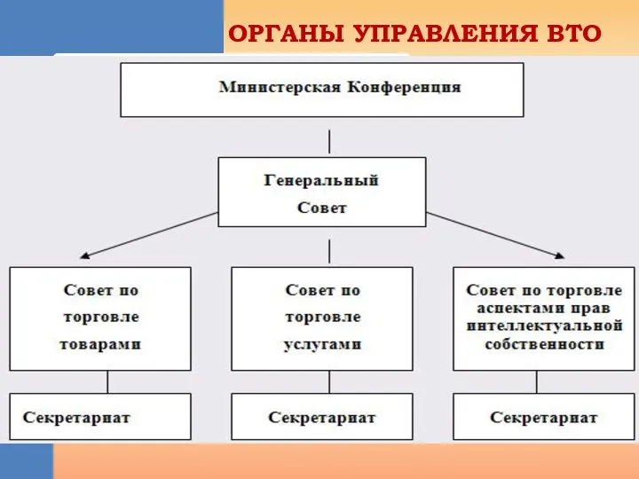 ОРГАНЫ УПРАВЛЕНИЯ ВТО