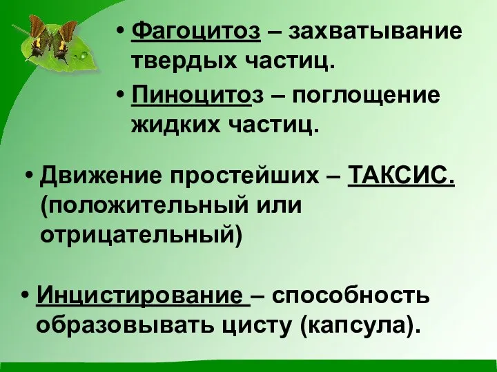 Фагоцитоз – захватывание твердых частиц. Пиноцитоз – поглощение жидких частиц. Движение