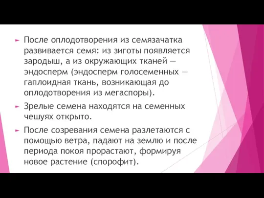 После оплодотворения из семязачатка развивается семя: из зиготы появляется зародыш, а