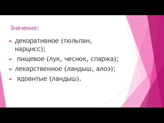 Значение: декоративное (тюльпан, нарцисс); пищевое (лук, чеснок, спаржа); лекарственное (ландыш, алоэ); ядовитые (ландыш).