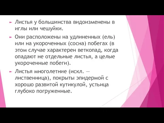 Листья у большинства видоизменены в иглы или чешуйки. Они расположены на