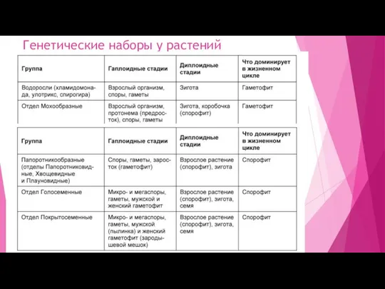 Генетические наборы у растений