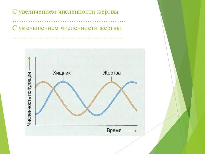 С увеличением численности жертвы ………………………………………….. С уменьшением численности жертвы ………………………………………….