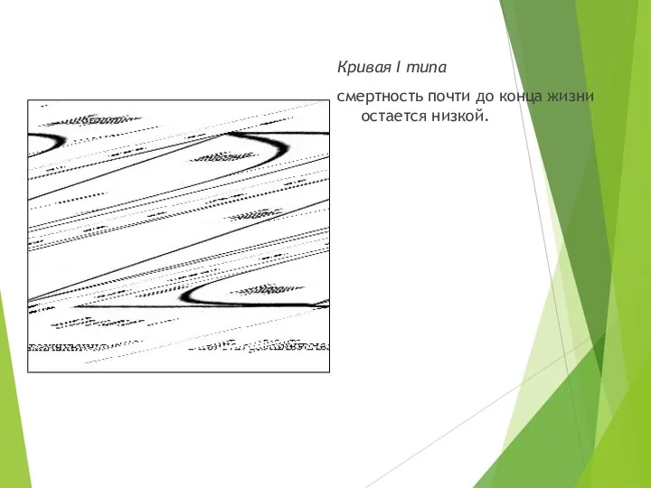 Кривая I типа смертность почти до конца жизни остается низкой.