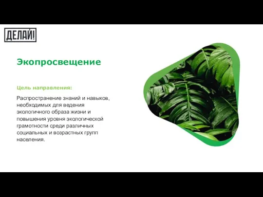 Экопросвещение Цель направления: Распространение знаний и навыков, необходимых для ведения экологичного