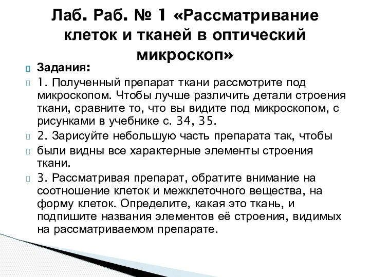 Задания: 1. Полученный препарат ткани рассмотрите под микроскопом. Чтобы лучше различить