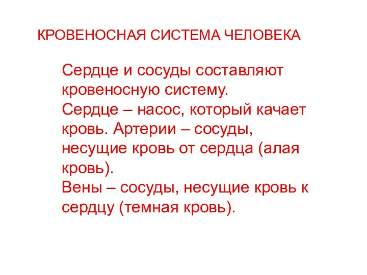 КРОВЕНОСНАЯ СИСТЕМА ЧЕЛОВЕКА Сердце и сосуды составляют кровеносную систему. Сердце –