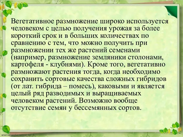 Вегетативное размножение широко используется человеком с целью получения урожая за более