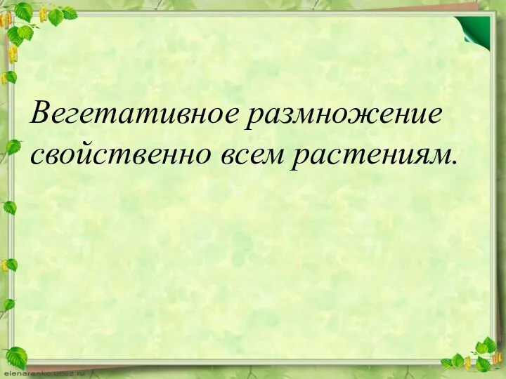 Вегетативное размножение свойственно всем растениям.