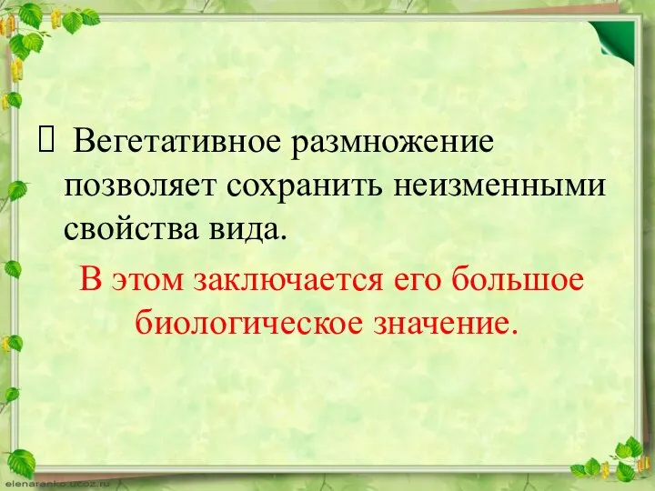 Вегетативное размножение позволяет сохранить неизменными свойства вида. В этом заключается его большое биологическое значение.