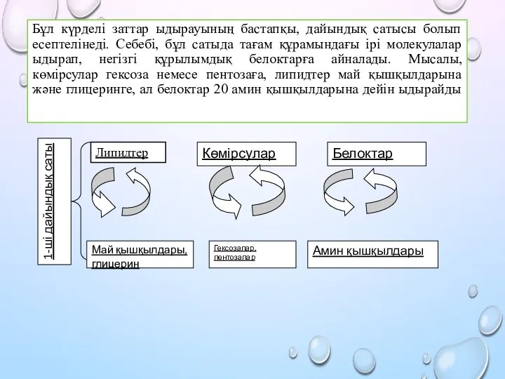 Бұл күрделі заттар ыдырауының бастапқы, дайындық сатысы болып есептелінеді. Себебі, бұл