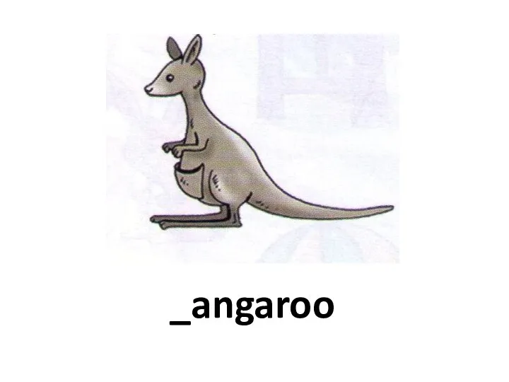 _angaroo