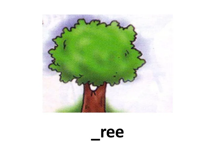 _ree