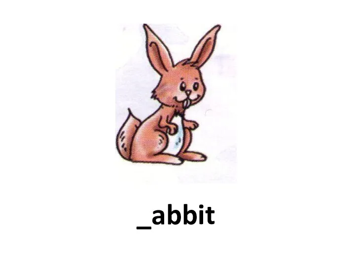 _abbit