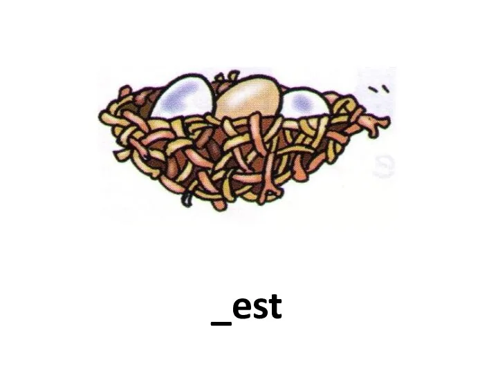 _est