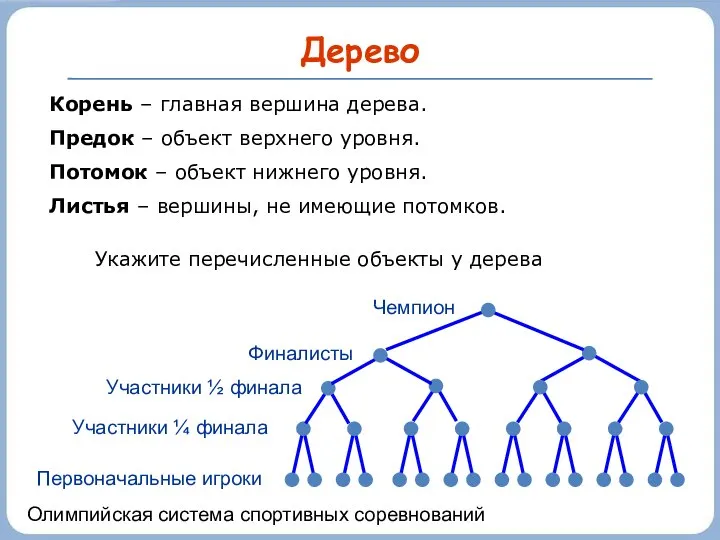 Дерево Чемпион Финалисты Участники ½ финала Участники ¼ финала Первоначальные игроки