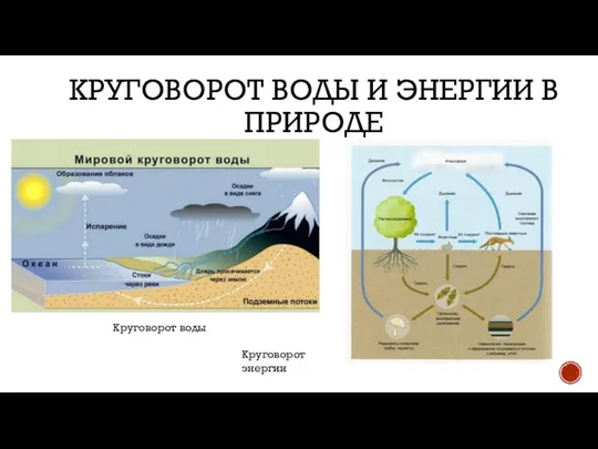 КРУГОВОРОТ ВОДЫ И ЭНЕРГИИ В ПРИРОДЕ Круговорот воды Круговорот энергии