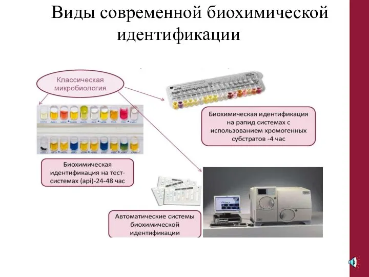 Виды современной биохимической идентификации