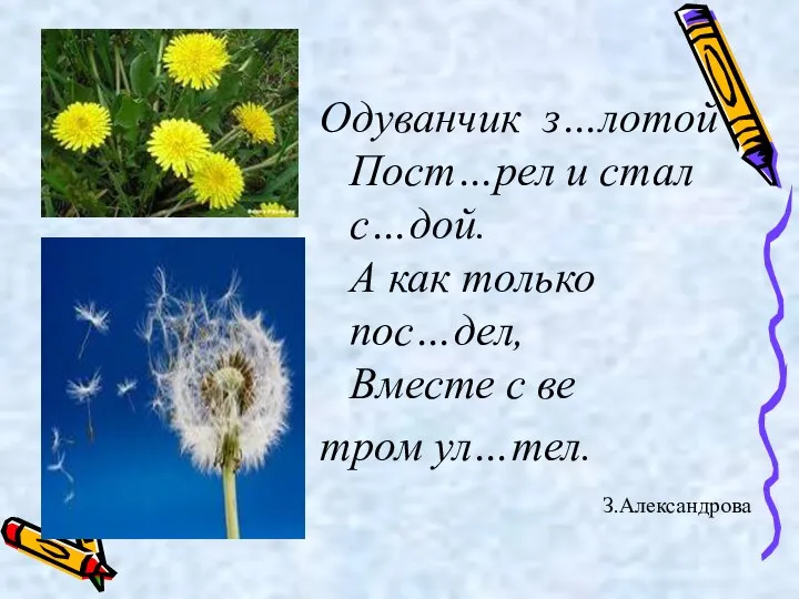 Одуванчик з…лотой Пост…рел и стал с…дой. А как только пос…дел, Вместе с ве тром ул…тел. З.Александрова