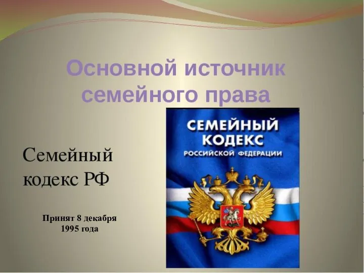 Принят 8 декабря 1995 года