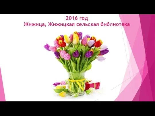 2016 год Жижица, Жижицкая сельская библиотека