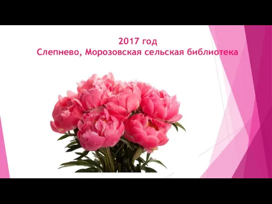 2017 год Слепнево, Морозовская сельская библиотека