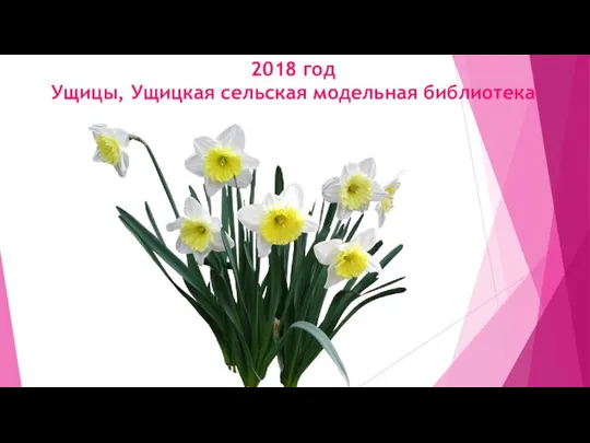 2018 год Ущицы, Ущицкая сельская модельная библиотека