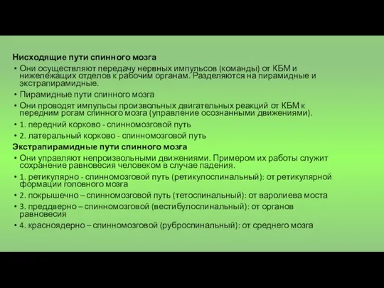 Нисходящие пути спинного мозга Они осуществляют передачу нервных импульсов (команды) от