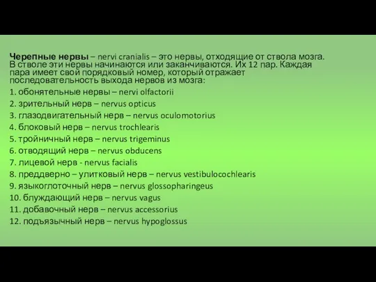 Черепные нервы – nervi cranialis – это нервы, отходящие от ствола