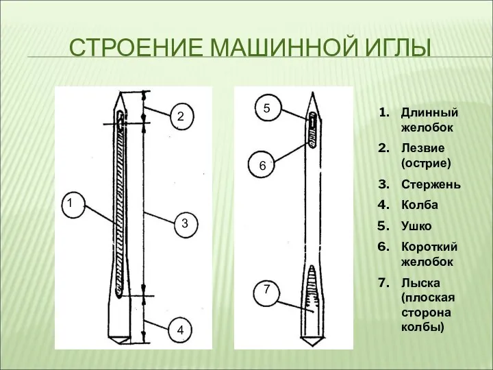 СТРОЕНИЕ МАШИННОЙ ИГЛЫ 1 2 3 4 3 3 7 6