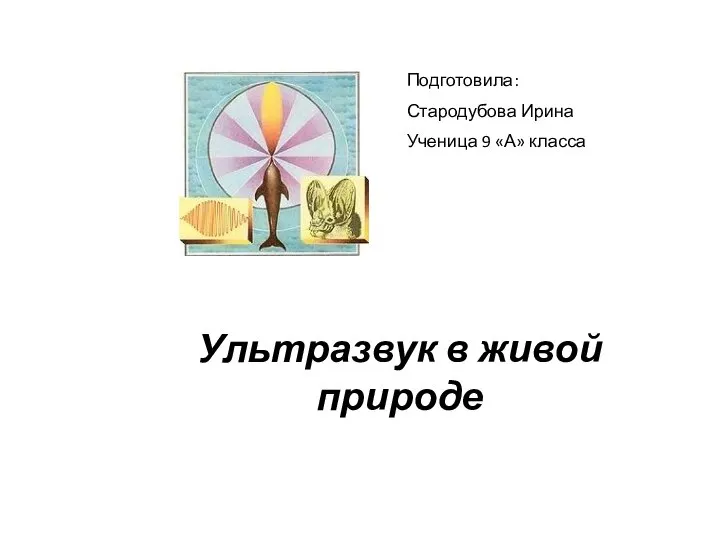 Ультразвук в живой природе Подготовила: Стародубова Ирина Ученица 9 «А» класса