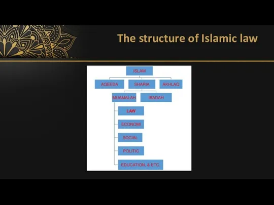 The structure of Islamic law