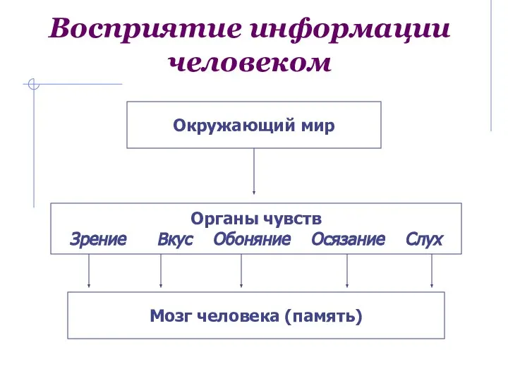 Восприятие информации человеком Окружающий мир Органы чувств Зрение Вкус Обоняние Осязание Слух Мозг человека (память)