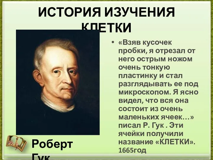 ИСТОРИЯ ИЗУЧЕНИЯ КЛЕТКИ «Взяв кусочек пробки, я отрезал от него острым