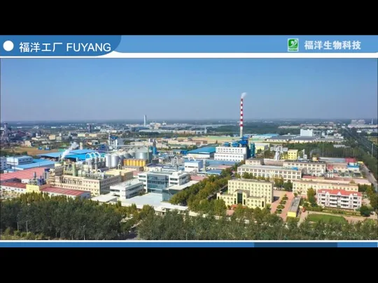 福洋工厂 FUYANG