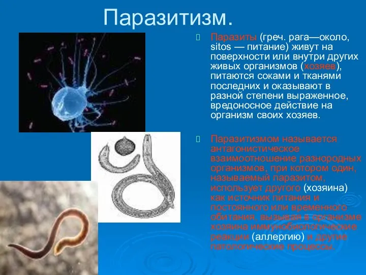 Паразитизм. Паразиты (греч. рага—около, sitos — питание) живут на поверхности или