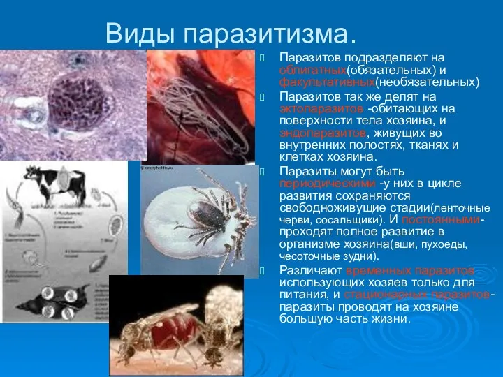 Виды паразитизма. Паразитов подразделяют на облигатных(обязательных) и факультативных(необязательных) Паразитов так же