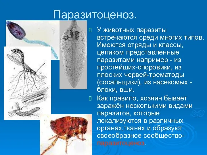 Паразитоценоз. У животных паразиты встречаются среди многих типов. Имеются отряды и