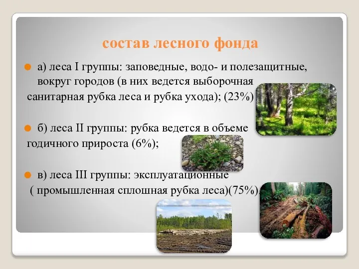 состав лесного фонда а) леса I группы: заповедные, водо- и полезащитные,