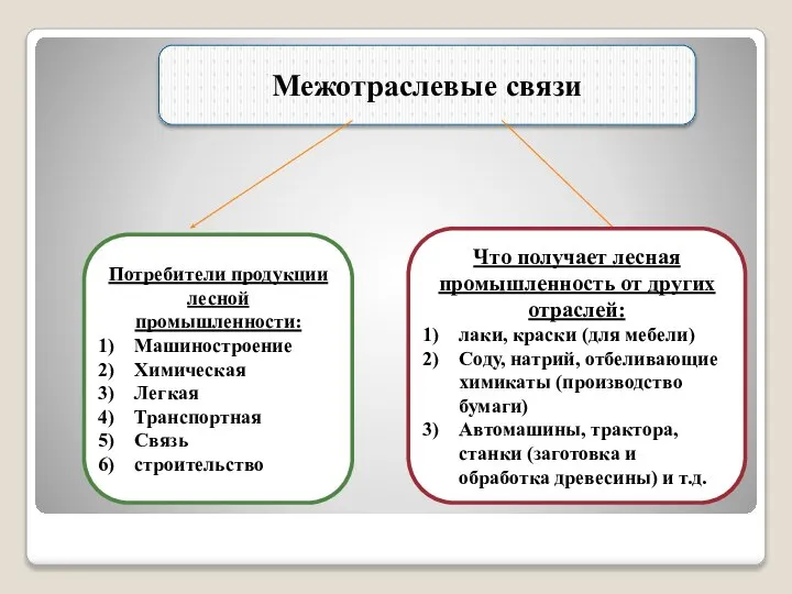 Межотраслевые связи Потребители продукции лесной промышленности: Машиностроение Химическая Легкая Транспортная Связь