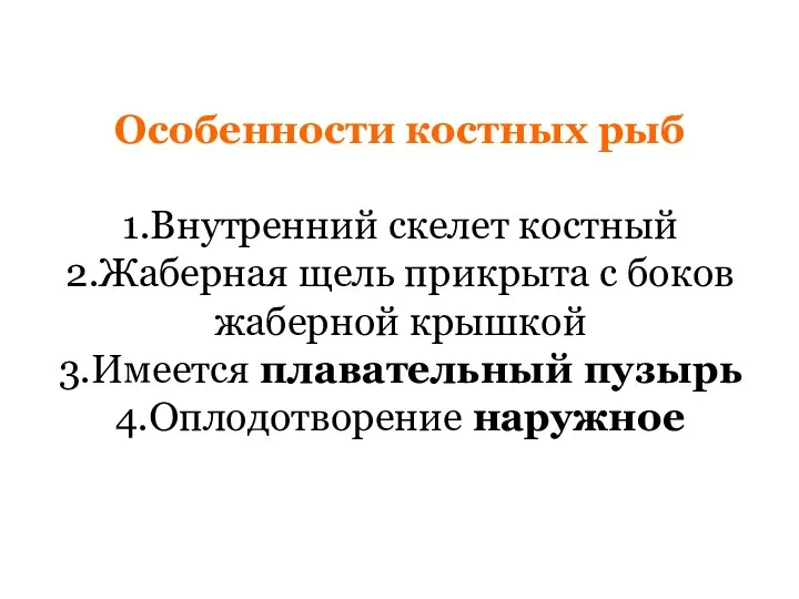 Особенности костных рыб 1.Внутренний скелет костный 2.Жаберная щель прикрыта с боков