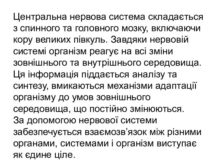 Центральна нервова система складається з спинного та головного мозку, включаючи кору