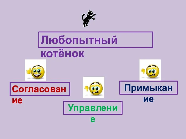 Любопытный котёнок Согласование Управление Примыкание